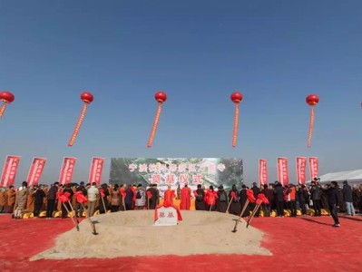 仿古建筑设计与施工流程解析，每一步都是匠心沉淀